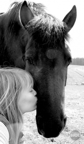 Katarína with me (výnimočná kobylka)