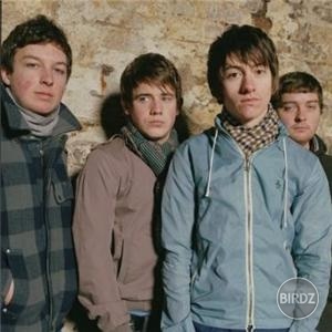 Arctic monkeys:) ties gut