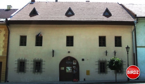 Muzeum