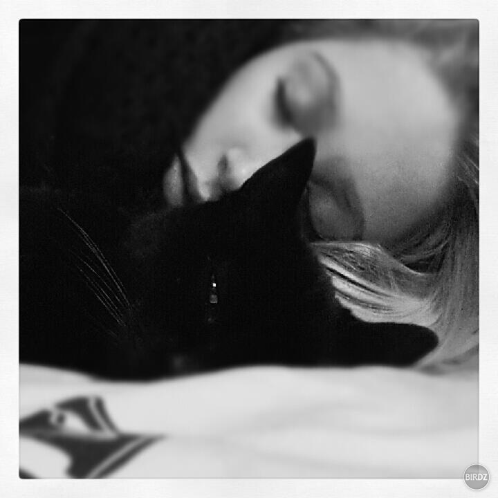 Falling asleep with my cat ♥
