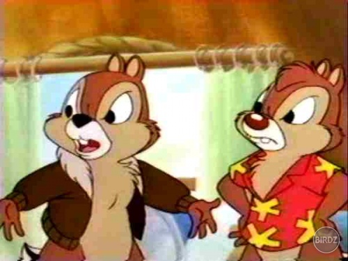 193916_Chip a Dale-5

..toto mam hm...