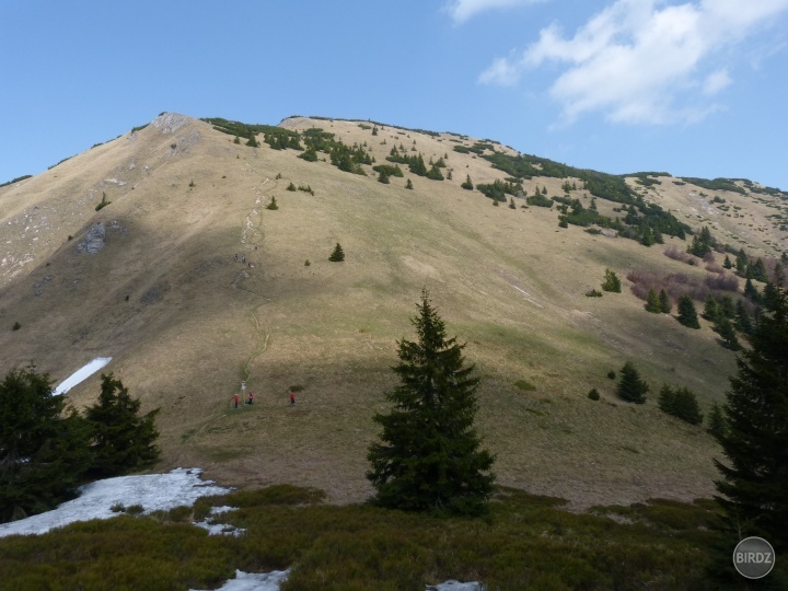 Suchý, Malá Fatra, 1468 m n.m.