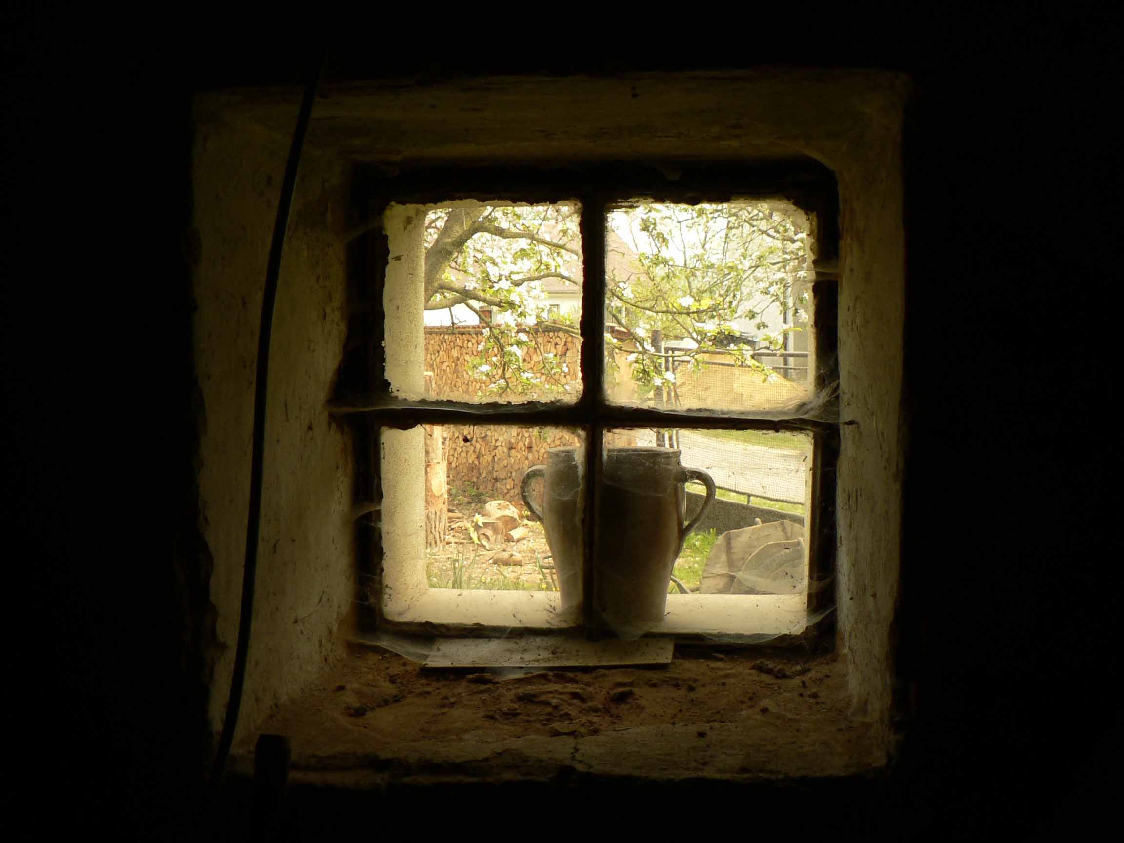 window