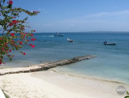 playa de colombia