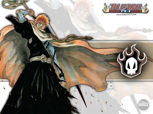 Kawapaper_Bleach_0000010_800x.jpg
Kawapaper_Bleach_0000010_800x