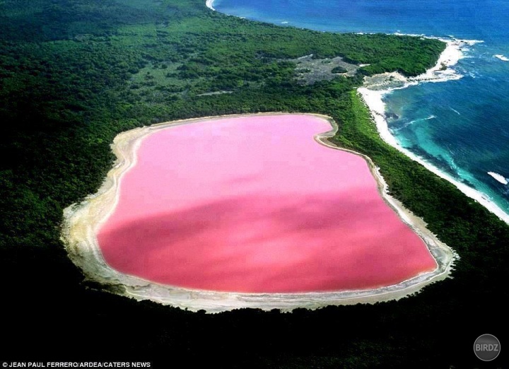 Ružove jazero v Australii, Lake Hillier.
A nie je to photoshop https://www.google.sk/search?q=lake+hillier&hl=sk&tbo=d&source=lnms&tbm=isch&sa=X&ei=LsGvUNrULc_AswaLqIHgDw&sqi=2&ved=0CAQQ_AUoAA&biw=1366&bih=683