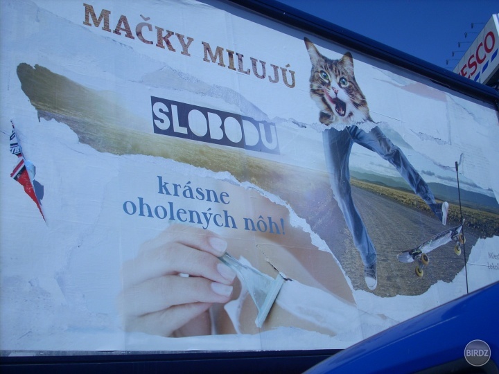 aj vás tak dostal ten billboard? :D 