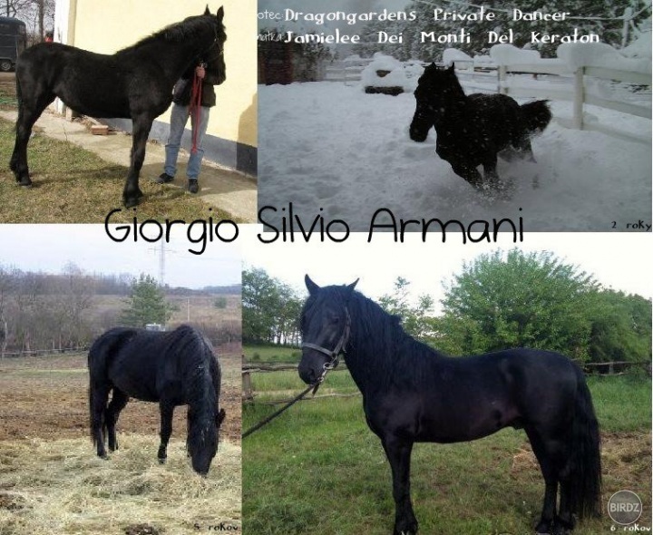 Giorgio Silvio Armani :)