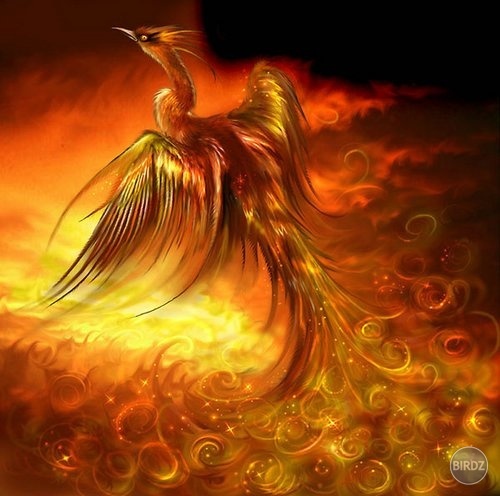 Fire Phoenix 