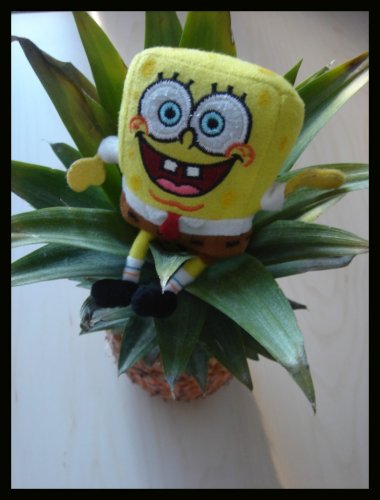 Sponge Bob...from my baby