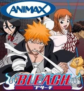 bleach_animax