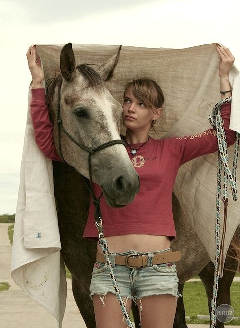 natural horsemanship - práca zo zeme