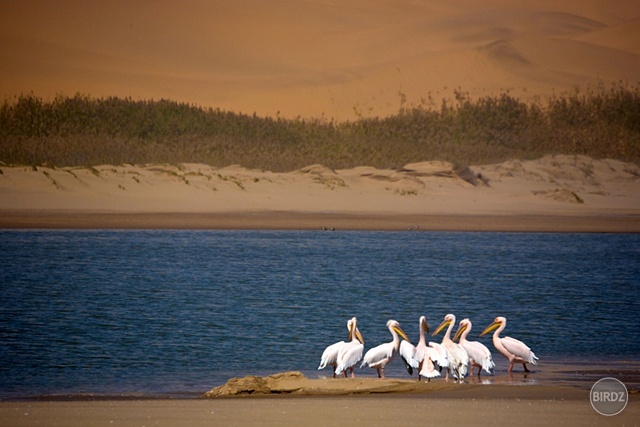 SANDWICH HARBOUR - filmár a fotograf Miro Pokorný Vás pozýva na Foto Safari do najfotogenickejšej krajiny sveta - viac info na: http://www.offroadtours.sk/fotosafari.html (Foto: Julo Nagy Namíbia/2008)