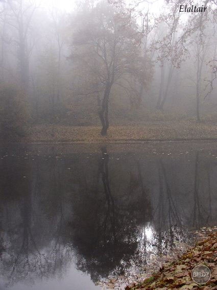 misty mirror ...when time is blowing around you, stuck in a moment...