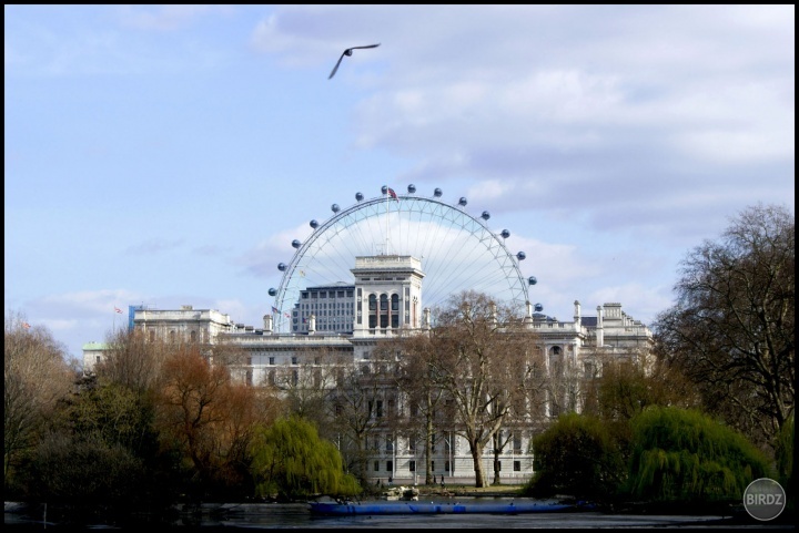 Buckingham palace