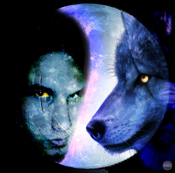 I love wolfs :)