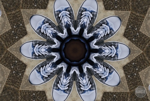 Teniskový kaleidoskop