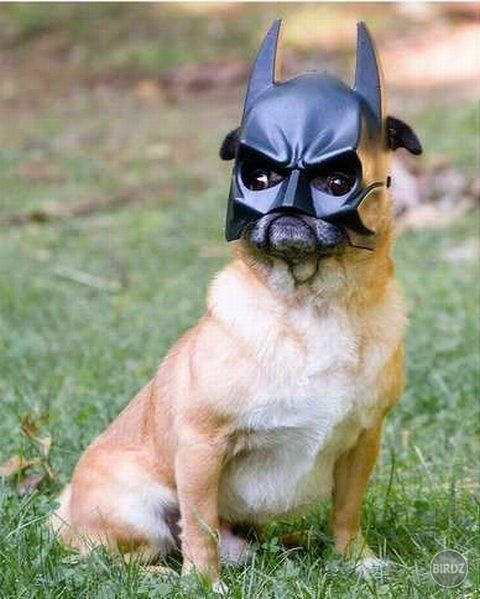 The Dark Knight! xD