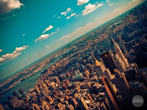 I ♥ NY