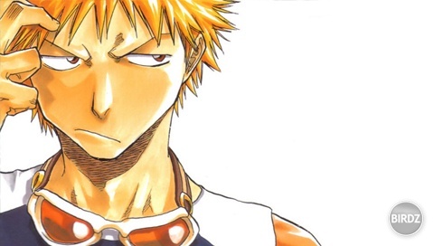 Bleach-166.jpg
Bleach-166