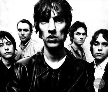 the verve