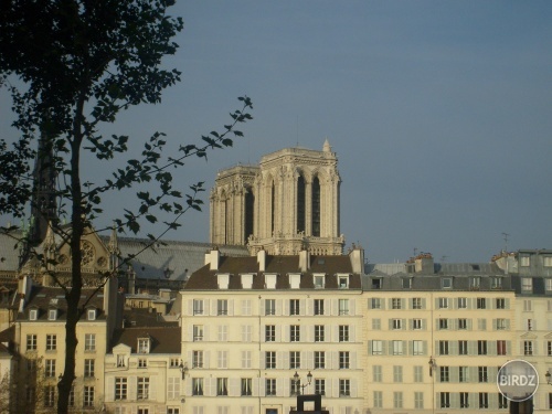 Notre Dame