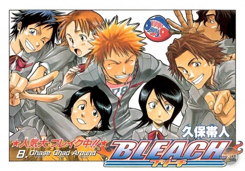 Bleach-02-01-021.jpg
Bleach-02-01-021