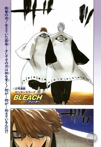 Bleach-20-02-25bonus.jpg
Bleach-20-02-25bonus