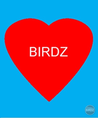 Pekneho valentína všetkým birdzákom.