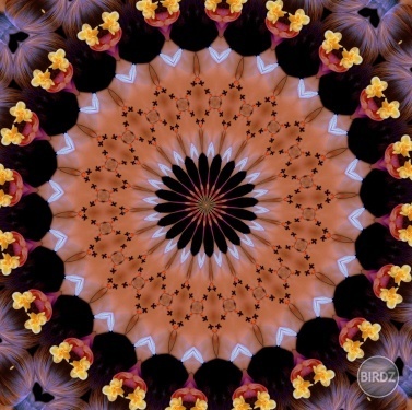 Kaleidoskop alebo mandala?