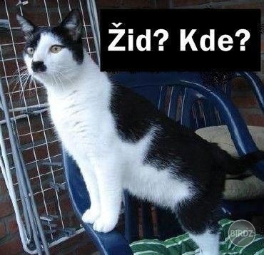 kitler :D