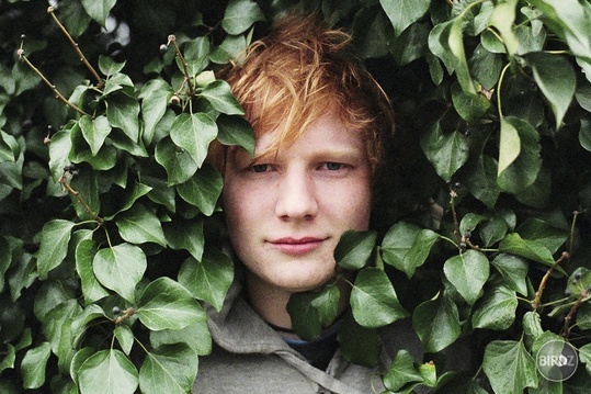 ed sheeran 