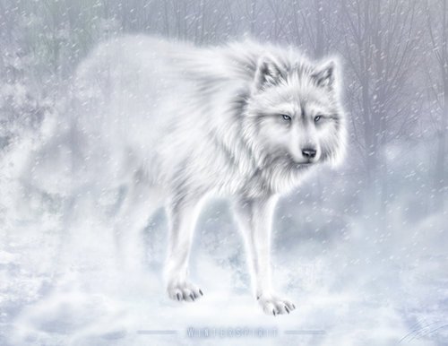 Snow wolf