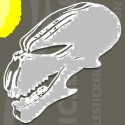 skull5=