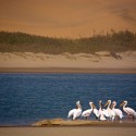 SANDWICH HARBOUR - filmár a fotograf Miro Pokorný Vás pozýva na Foto Safari do najfotogenickejšej krajiny sveta - viac info na: http://www.offroadtours.sk/fotosafari.html (Foto: Julo Nagy Namíbia/2008)