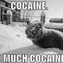 Cocaine !!!!!