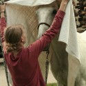 natural horsemanship - práca zo zeme