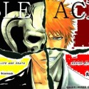 bleach_2