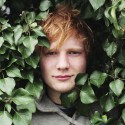 ed sheeran 