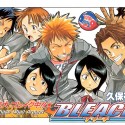 Bleach-02-01-021.jpg
Bleach-02-01-021