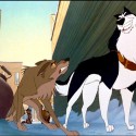 The Balto vlk balto