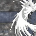 [large][AnimePaper]wallpapers_D-GrayMan_Kresnek(1.33)__THISRES__83942