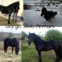 Giorgio Silvio Armani :)