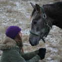 Pri kontakte s človekom velí myseľ i telo koni UTEČ!!! Je to však duša, vďaka ktorej má kôň potrebu kontaktu s človekom.