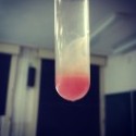 DNA isolation