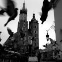 Krakow 2008