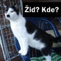 kitler :D