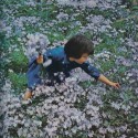 A girl in a field of meadow phlox, Washington, D.C., 1960