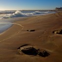 SWAKOPMUND - filmár a fotograf Miro Pokorný Vás pozýva na Foto Safari do najfotogenickejšej krajiny sveta - viac info na: http://www.offroadtours.sk/fotosafari.html (Foto: Julo Nagy Namíbia/2008)