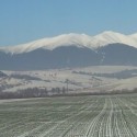 Ukážka z nezaradených obrázkov